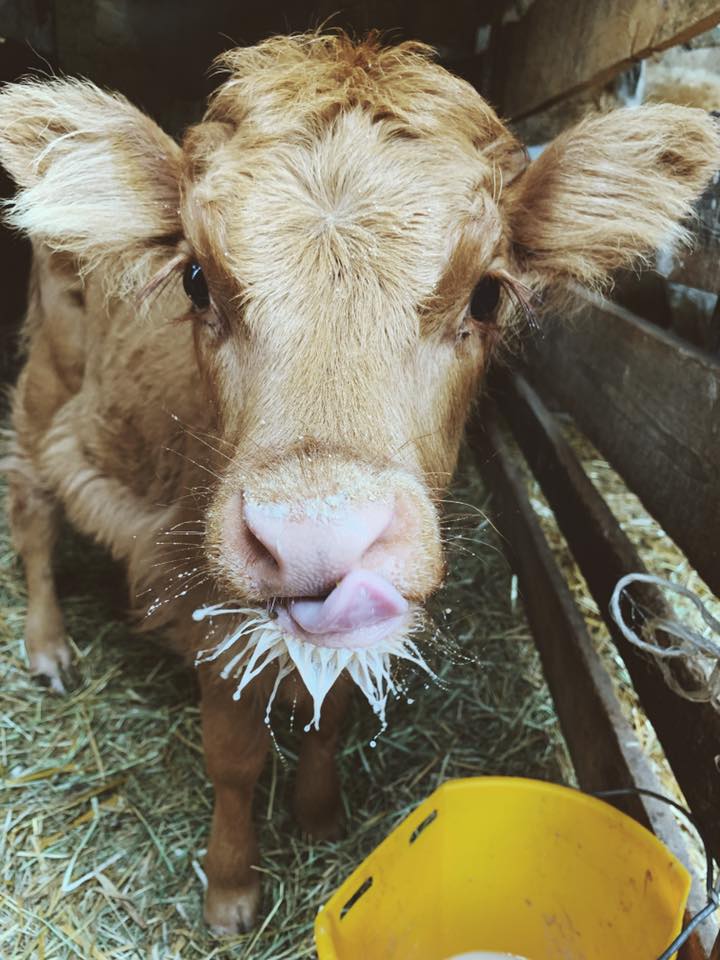 67792666_358095328195830_3109851270593118208_n