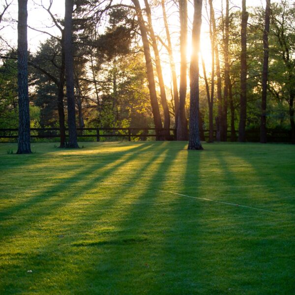 493690433_1093191196176393_4463113294895936886_n