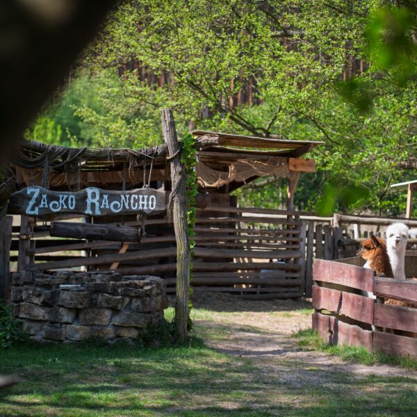 494683123_1095675345927978_8364642745583339819_n