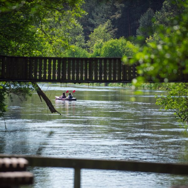 495366612_1095675412594638_1503209694074222815_n