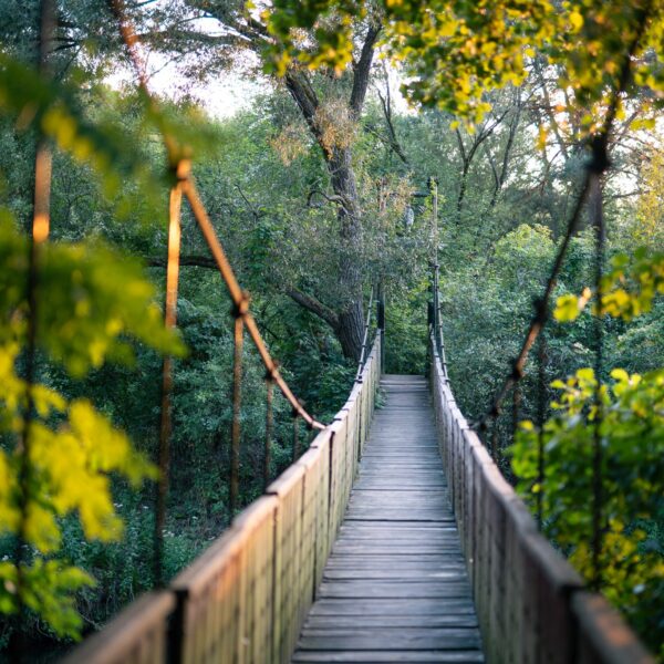 533557850_1176672964494882_8546113287138732020_n