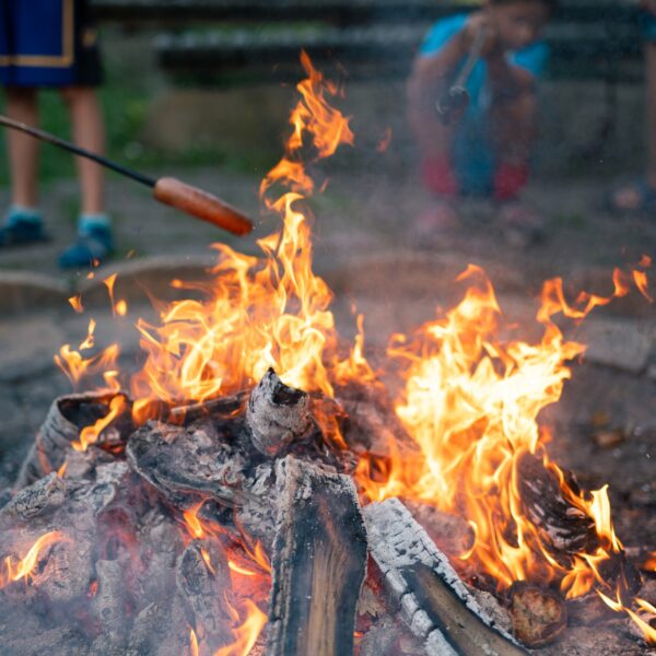 533797620_1176736274488551_2078576954836643844_n